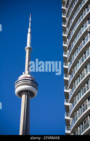 CN Tower neben der Eigentumswohnung in toronto gegen klaren blauen Himmel Stockfoto