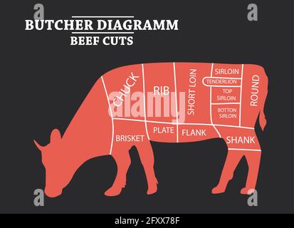 Schneiden von Rindfleisch festgelegt. Plakat Metzger Diagramm-Kuh. Vintage typografischen Hand gezeichnet. Stock Vektor