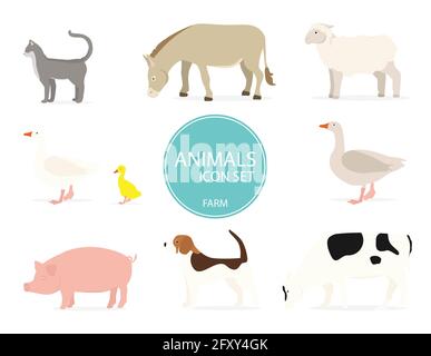 Nutztiere in flachem Stil isoliert auf weißem Hintergrund. Niedliche Cartoon Tiere Sammlung: Schafe, Kuh, Esel, Schwein, Katze, Hund, Ente, Gans, Henne, Roo Stock Vektor