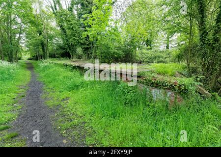 Alter stillgelaufender Bahnhof in Great Yeldham. Stockfoto