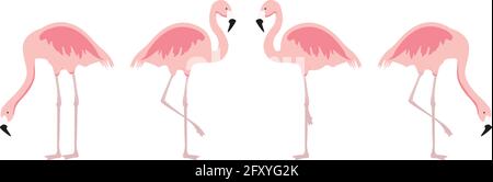 Cartoon rosa Flamingo Vektor-Set. Niedliche Flamingos Kollektion. Flamingo Tier exotische, Natur wilde Fauna Illustration Stock Vektor