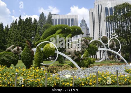 In einem wunderschönen und ruhigen Park in der Stadt Tianjin, China, befinden sich delphin geformte Hecken sowie kleine, gut getrimmte Sträucher Stockfoto