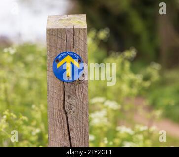 Suffolk Coast Path Schild auf einem Pfosten durch einen Fußweg. Snape, Großbritannien Stockfoto