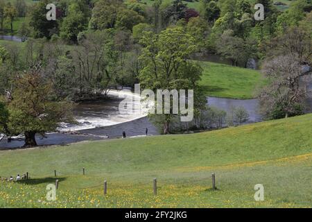 Die Horseshoe Falls sind ein Wehr am Fluss Dee In der Nähe der Llantysilio-Halle in Llangollen Denbighshire Wales Stockfoto