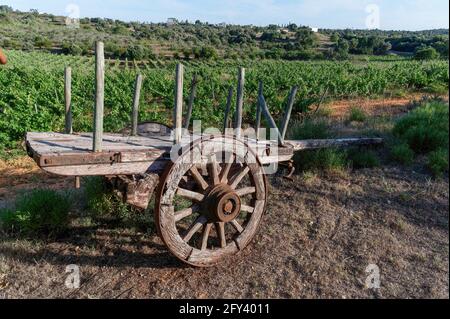 Quinta dos Vales, Estômbar, Algarve, Portugal Stockfoto