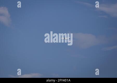 Propellerflugzeug von der Sonne gegen einen blauen Himmel beleuchtet Mit weißen Wolken und Baum - in Bewegung Stockfoto