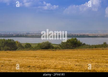 Störche auf der Suche nach Nahrung in frisch geernteten Weizenfeldern Stockfoto