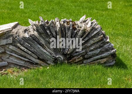 Felswand im Sucher House, einem der Mushroom Houses, entworfen vom Architekten Earl Young im 20. Jahrhundert, Charlevoix, Michigan, USA [Keine Immobilie RE Stockfoto