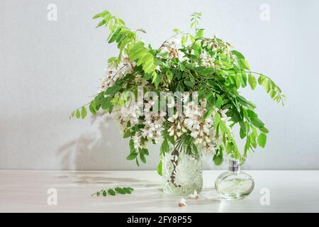 Zweige mit weißen Akazienblüten in einer transparenten Glasvase, neben einer Flasche Parfüm. Frühlingsdüfte der Natur. Stockfoto