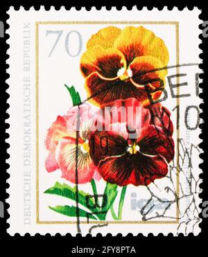 MOSKAU, RUSSLAND - 23. SEPTEMBER 2019: Briefmarke gedruckt in Deutschland, Demokratische Republik, zeigt Viola tricolor, Blumen Serie, um 1975 Stockfoto