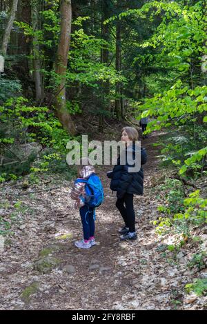 Kleines Mädchen, das mit ihrem Bruder im Wald spazierengeht. Stockfoto