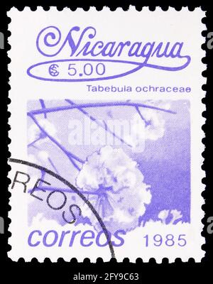 MOSKAU, RUSSLAND - 23. SEPTEMBER 2019: Die in Nicaragua gedruckte Briefmarke zeigt Tabula ochraceae, Lokale Blumen-Serie, um 1986 Stockfoto