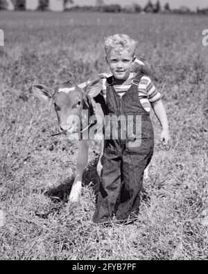 1940ER-JAHRE BLONDER JUNGE FÜHRT JERSEY KALB AUF MILCHVIEHBETRIEB MARLTON NEW JERSEY USA - C1648 HAR001 HARS HAUSTIERE KALB VERTRAUEN LANDWIRTSCHAFT B&W BLICKKONTAKT VIEH GLÜCK TIER BABYS ABENTEUER LANDWIRTE BETRIEBE KÜHE STOLZ BABY TIER VERBINDUNG BOVINE NEW JERSEY ANGENEHM ANGENEHM REIZEND WACHSTUM JUVENILES LIEBENSWERT SÄUGETIER ANGENEHM ZWEISAMKEIT ENTZÜCKEND ATTRAKTIVE SCHWARZE UND WEISSE KÄLBER KAUKASISCHE ETHNIE DOMESTIZIERTE HAR001-NUTZTIERE ALTMODISCH Stockfoto