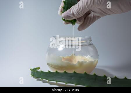 Ein Mann in weißen Handschuhen presst in einem Glas mit Creme Aloe Saft, vor dem Glas ist ein Blatt der Aloe-Pflanze. Kosmetisches Thema. Stockfoto