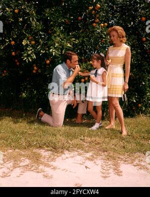 60ER JAHRE TOURISTENFAMILIE IN ORANGENBAUM GROVE VATER KNIEEND ESSEN ORANGE MUTTER TOCHTER BEOBACHTEN FLORIDA USA - KF6429 SHE002 HARS FARBE BEZIEHUNG ALTE ZEIT NOSTALGIE ALTE MODE JUGENDLICH STIL WACHSENDE FREUDE LEBENSSTIL PARENTING LÄNDLICHEN GESUNDHEIT VEREINIGTEN STAATEN KOPIEREN RAUM VOLLLÄNGE PERSONEN ERWACHSEN VEREINIGTE STAATEN VON AMERIKA CARING FARMING ORANGE LANDWIRTSCHAFT VÄTERLICHES NORDAMERIKA KNIEN NORDAMERIKANISCHE VATERSCHAFT MÜTTERLICHES GLÜCK NOURISH ABENTEUER ENTDECKUNG FREIZEIT SOUTHEAST TOURIST TRIO VERKOSTUNG SÜDLICHER OSTEN KÜSTE WACHSEN MUTTERSCHAFT NAHRUNG STILVOLLE FL WACHSTUM JUGENDLICHE MITTLEREN ERWACHSENEN Stockfoto