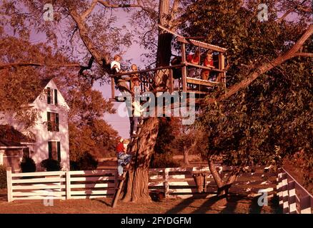 1950ER-JAHRE 1960ER-JAHRE SECHS KINDER KLETTERN IN BAUMHAUS HOUSE CLUBHOUSE PLAYING BACKYARD - KJ1774 CRS001 HARS SECHS GESCHWISTER KLETTERSCHWESTERN FORT HAPPINESS ADVENTURE CLIMB GEBEN VOR, ALS WÜRDEN SIE GESCHWISTER WERDEN VORGEBLICHE CLUBHAUS PHANTASIE KINDHEIT JUGENDLICHE PIRATEN SCHIFF ZWEISAMKEIT KAUKASISCHE ETHNIE ALTMODISCHES BAUMHAUS Stockfoto