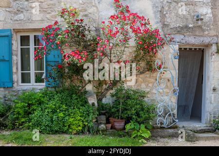 FRANKREICH, LUBERON, VAUCLUSE, 84, OPPEDE-LE-VIEUX, SCHÖNES KLEINES DORF AUF EINEM FELSIGEN AUSBISS ÜBERWUCHERT VEGETATION MIT EINER HERRLICHEN KULISSE GEBAUT, EIN Stockfoto