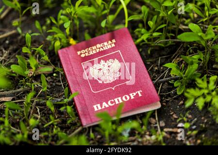 Russlands Pass liegt in der Natur auf dem Boden. Das Verlorene Dokument Stockfoto