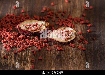 Bixa Orellana - Bio-Achiote; ist eine Gewürz-und Lebensmittelfarbe. Stockfoto