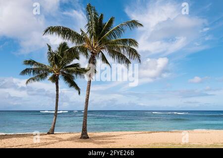 Poipu Beach ist eine berühmte Strandattraktion am Südufer von Kauai. Bekannt für seinen tollen Sandstrand und viele Wassersportangebote. Stockfoto