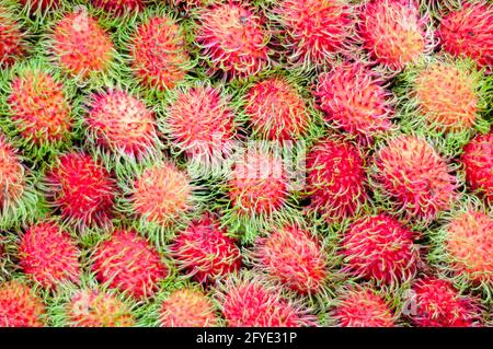 Frisches Rambutan auf dem Markt Stockfoto