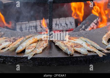 Prozess des kochens europäischer roch Fisch auf Brazier auf Food Festival: Close up Stockfoto