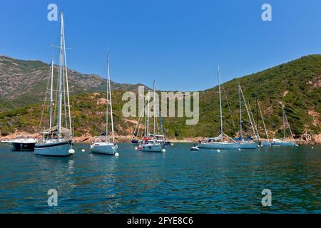 FRANKREICH, CORSE DU SUD,20, DEUX SEVI, GIROLATA Stockfoto