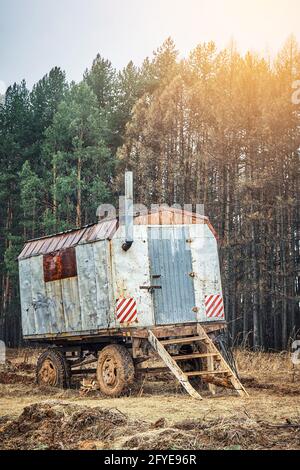 Altes rostetes Metallhalbleiderhaus mit Kamin und Holz Treppen stehen auf dem Feld von hohen Pinien unter Sonnenlicht Am Herbsttag Stockfoto