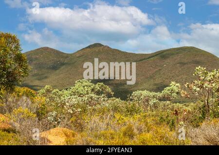 Mt Magog in Stirling Range NP, WA, Australien Stockfoto