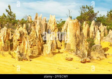 Die Pinnacles, Nambung NP, WA, Australien Stockfoto