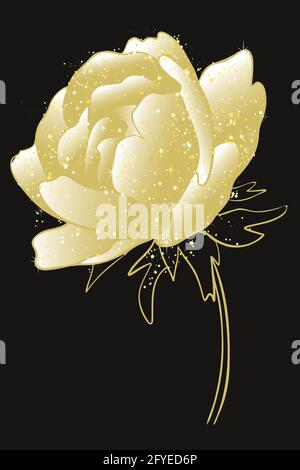 Goldene Pfingstrose, Vektor. Üppig blühende Gartenblume auf schwarzem Hintergrund. Stock Vektor