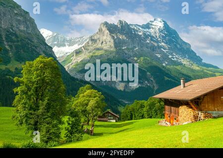Blick von Grindelwald, Schweiz Stockfoto