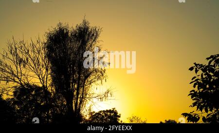 Panorama-Sonne untergeht am Nachmittag ist sehr schön mit Silhouetten von Bäumen. Stockfoto