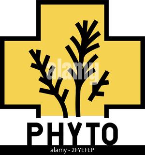 Natürliche Phytotherapie Farbe Symbol Vektor Illustration Stock Vektor