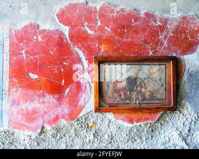 Cryptoporticus (Korridor)-Tafel mit Stillleben - Haus des Hirses (Casa dei Cervi) - Ruinen von Herculaneum, Italien Stockfoto