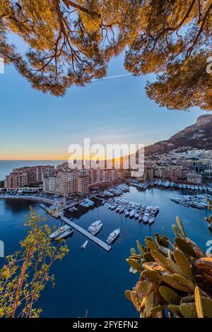 FÜRSTENTUM MONACO, HAFEN FONTVIEILLE Stockfoto