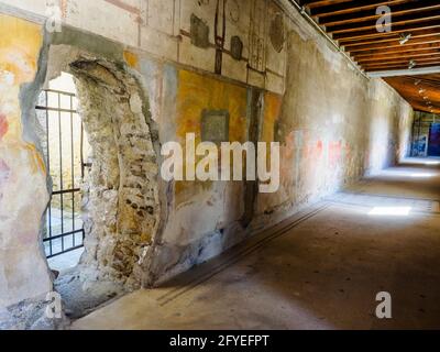 Cryptoporticus (Korridor) - Haus des Hirschs (Casa dei Cervi) - Herculaneum Ruinen, Italien Stockfoto