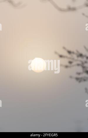 Vollmond im Nebel Stockfoto