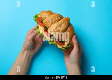 Weibliche Hände halten das Croissant-Sandwich auf blauem Hintergrund Stockfoto