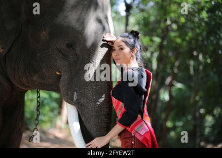 Schöne junge asiatische Frau in traditionellen einheimischen Kleid gekleidet und Elefant im Wald des Dorfes Surin Thailand Stockfoto