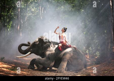 Schöne junge asiatische Frau in traditionellen einheimischen Kleid gekleidet und Elefant im Wald des Dorfes Surin Thailand Stockfoto