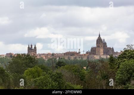 Salamanca / Spanien - 05 12 2021: Majestätischer Blick auf das gotische Gebäude der Kathedrale von Salamanca, Türme und Kuppeln, die umliegende Vegetation Stockfoto