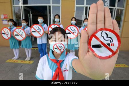 Handan, Handan, China. Mai 2021. Am 28. Mai startete die Chunguang Grundschule im Bezirk Congtai, Stadt Handan, Provinz Hebei, die Themenaktion „eine junge Wache gegen die Einstellung des Rauchens zu sein“, die die Menschen aufforderte, sich vom Tabak fern zu halten und einen gesunden Lebensstil durch Rauchverbotsmasken, handgeschriebene Nichtraucherzimmer, Und Nichtraucher-Performance-Kunst, um ein rauchfreies Wachstumsumfeld für Kinder zu schaffen, um die Ankunft des „Welt-No-Tobacco-Tages“ am 31. Mai zu begrüßen. Quelle: SIPA Asia/ZUMA Wire/Alamy Live News Stockfoto