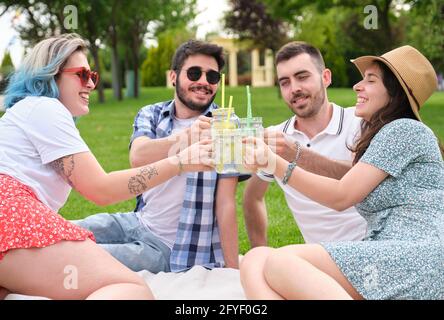 Eine Gruppe von glücklichen Freunden, die an einem sonnigen Sommertag im Park mit Getränken toasten und ein Picknick veranstalten. Stockfoto