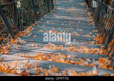 Treppenabstieg im herbstlichen Stadtpark. Eine breite Holztreppe mit Stufen, die mit gefallenen gelben Herbstblättern bedeckt sind Stockfoto