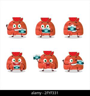 Fotograf Beruf Emoticon mit Wassermelone Eis Kugeln Zeichentrickfigur. Vektorgrafik Stock Vektor