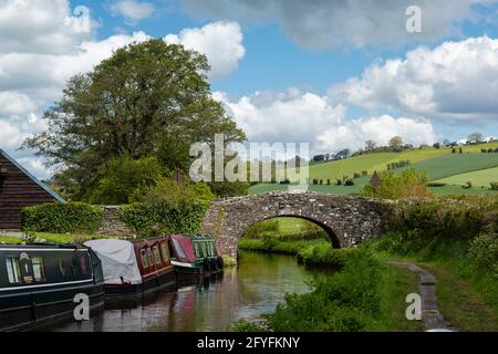 Bridge 159, Monmouthshire und Brecon Canal, Powys, Wales, Großbritannien Stockfoto