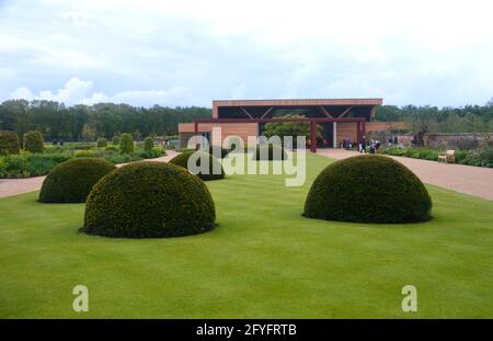 Beschnittene Eibentürme auf dem Rasen neben dem Worsley Welcome Garden & Welcome Building im RHS Garden Bridgewater, Worsley, Greater Manchester, Großbritannien. Stockfoto