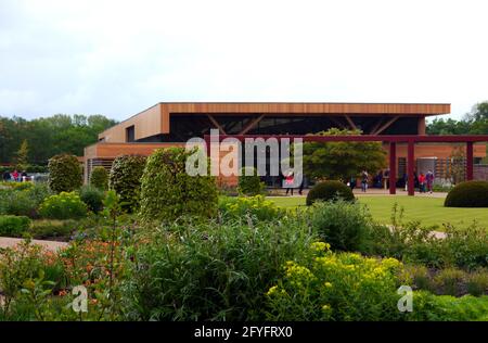 Beschnittene Eibentürme auf dem Rasen neben dem Worsley Welcome Garden & Welcome Building im RHS Garden Bridgewater, Worsley, Greater Manchester, Großbritannien. Stockfoto