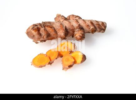 Kurkuma, Curcuma longa, ist eine Wurzel die auch goldenes Gewürz genannt wird. Kurkuma, Curcuma longa, ist eine Wurzel, die auch als goldenes spi bezeichnet wird Stockfoto